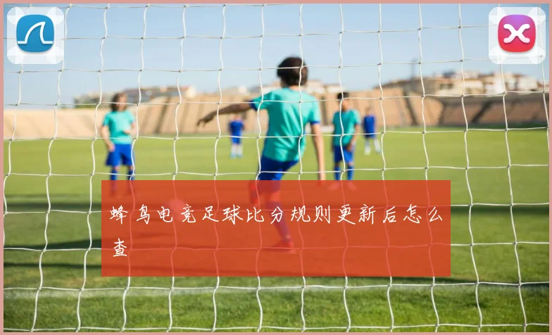 蜂鸟电竞足球比分规则更新后怎么查