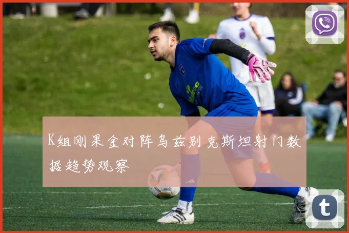 K组刚果金对阵乌兹别克斯坦射门数据趋势观察