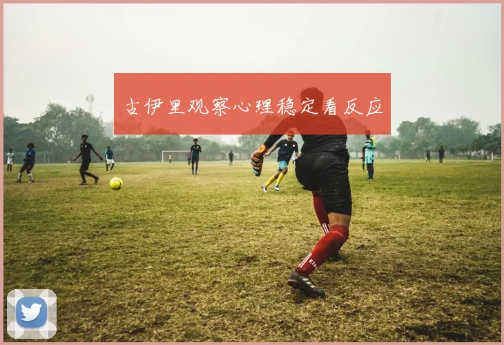 古伊里观察心理稳定看反应