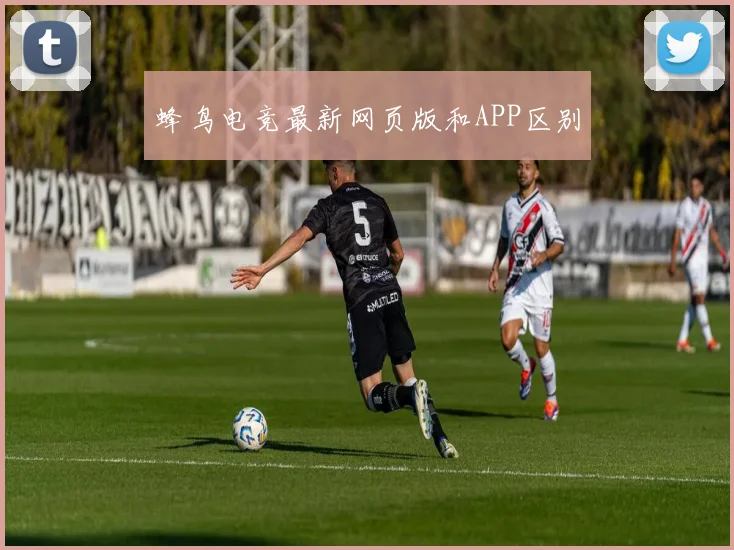 蜂鸟电竞最新网页版和APP区别