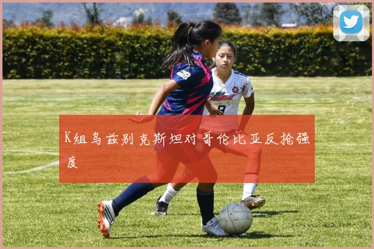 K组乌兹别克斯坦对哥伦比亚反抢强度