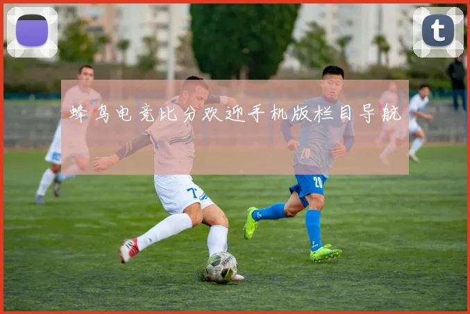 蜂鸟电竞比分欢迎手机版栏目导航
