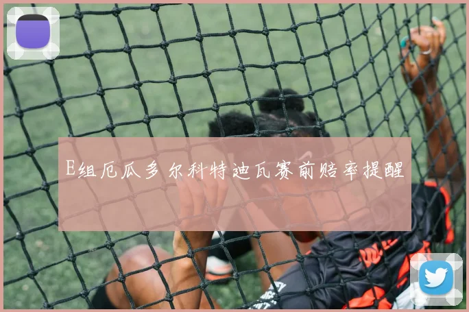 E组厄瓜多尔科特迪瓦赛前赔率提醒