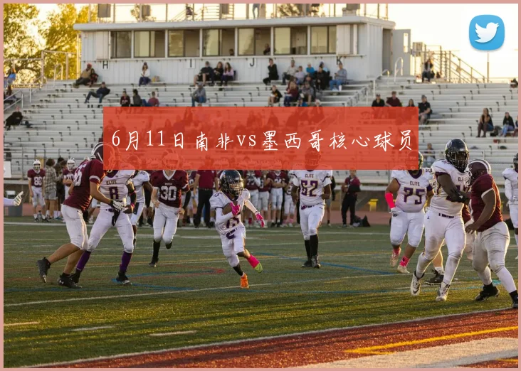 6月11日南非vs墨西哥核心球员