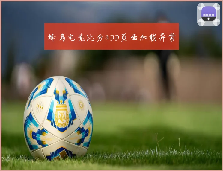 蜂鸟电竞比分app页面加载异常